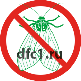 Уничтожение моли в Волгограде