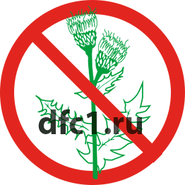 Уничтожение Борщевика в Волгограде