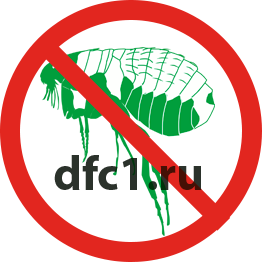 Уничтожение блох в Волгограде