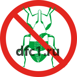 Уничтожение долгоносиков в Волгограде