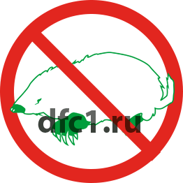 Уничтожение кортов в Волгограде