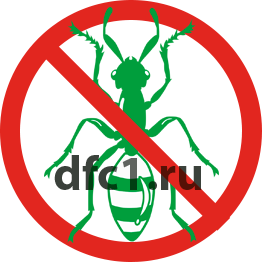 Уничтожение муравьёв в Волгограде