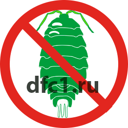 Уничтожение мокриц в Волгограде