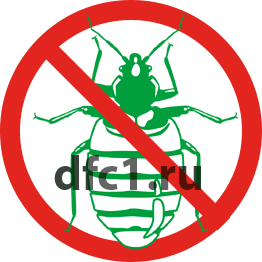 Уничтожение клопов в Волгограде