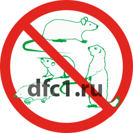 Уничтожение мышей в Волгограде