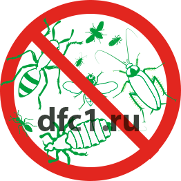 Дезинсекция в Волгограде