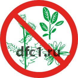 Уничтожение Борщевика в Волгограде