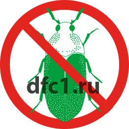 Уничтожение кожеедов в Волгограде