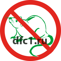 Уничтожение мышей в Волгограде