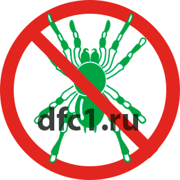 Уничтожение пауков в Волгограде