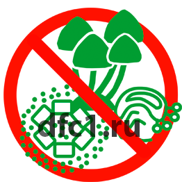 Обработка от плесени в Волгограде