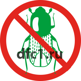 Шашель борьба в Волгограде