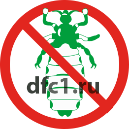 Уничтожение вшей в Волгограде