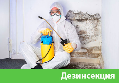 Дезинсекция в городе Волгоград