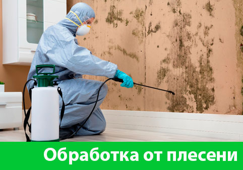 Обработка от плесени в городе Волгоград