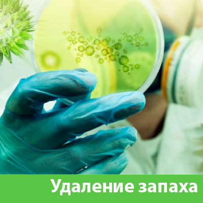 Удаление запахов в Волгограде